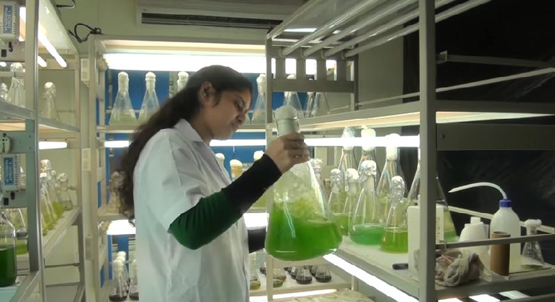 Central University of Gujarat - [CUG]