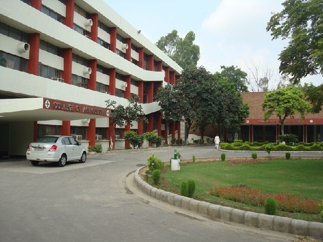 Chaudhary Charan Singh Haryana Agricultural University - [CCSHAU]