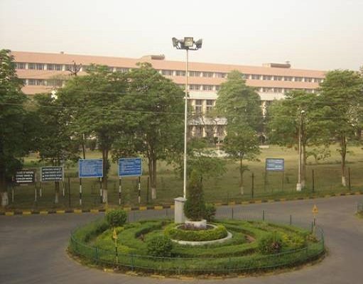 Pandit Bhagwat Dayal Sharma University of Health Sciences Logo