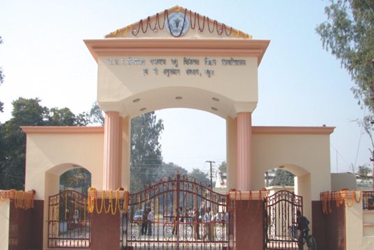 Pandit Deen Dayal Upadhyaya Pashu Chikitsa Vigyan Vishwavidyalaya Evam Go  Anusandhan Sansthan - [DUVASU] Logo