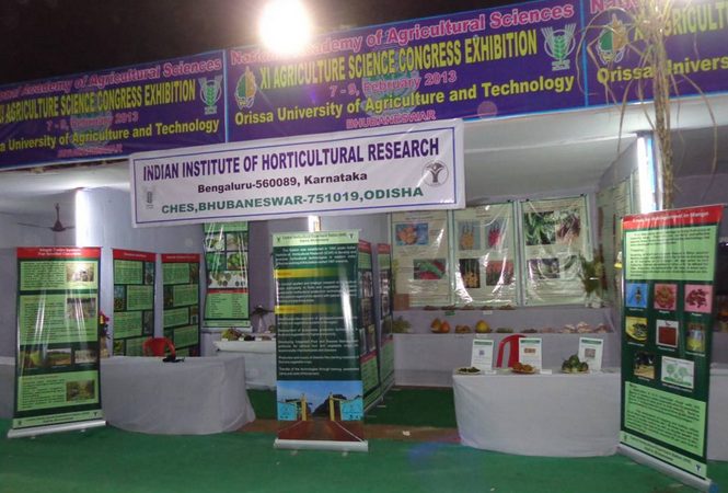 Indian Institute of Horticultural Research - [IIHR] Logo