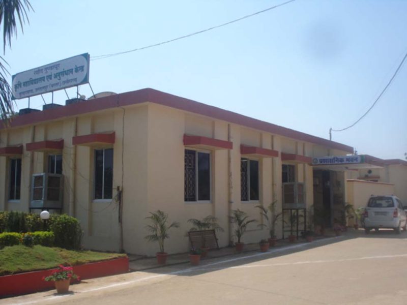 Shaheed Gundadhur College of Agriculture and Research - [SGCARS]