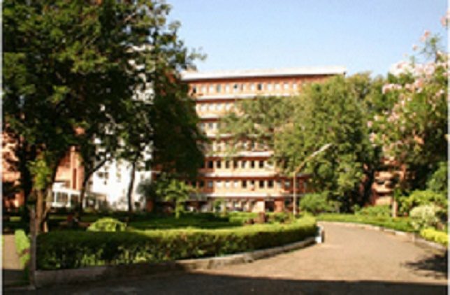 Sophia Polytechnic