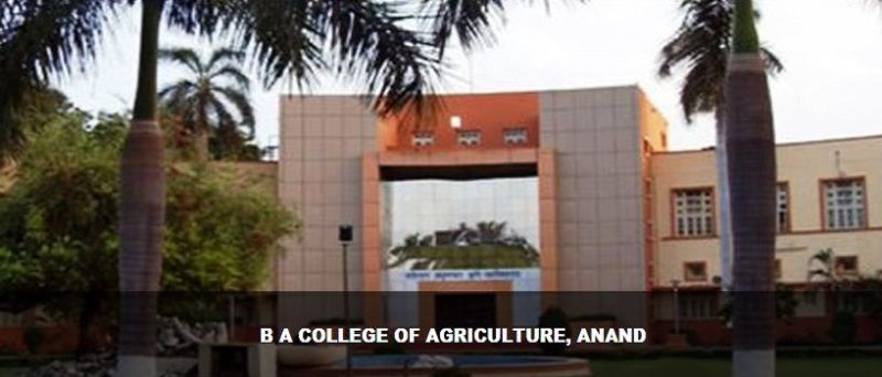 BA College of Agriculture