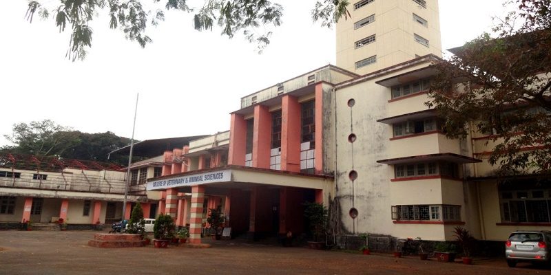 KVASU, College of Veterinary and Animal Sciences - [COVAS] Mannuthy Logo