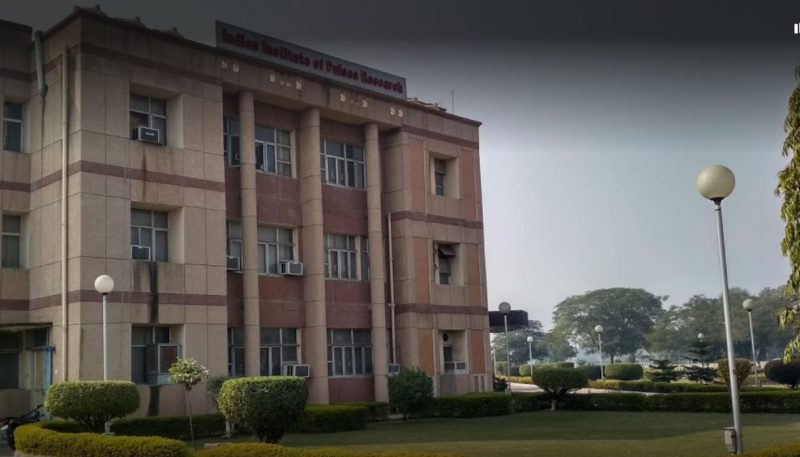 Indian Institute of Pulses Research - [IIPR] Logo