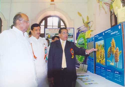 College of Agriculture
