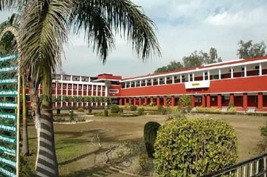 University Institute of Information Technology, Himachal Pradesh University - [UIIT] Logo