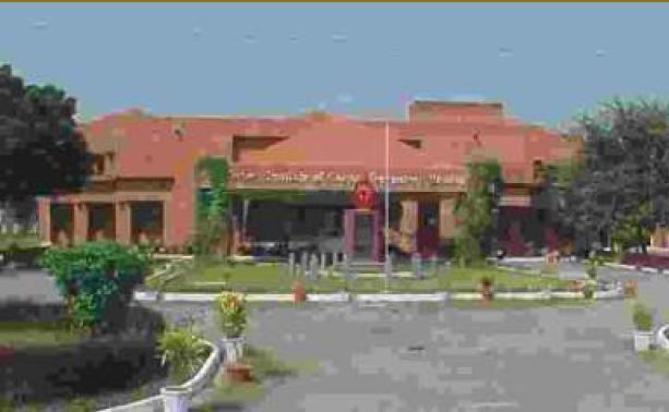 Indian Institute of Carpet Technology - [IICT] Logo