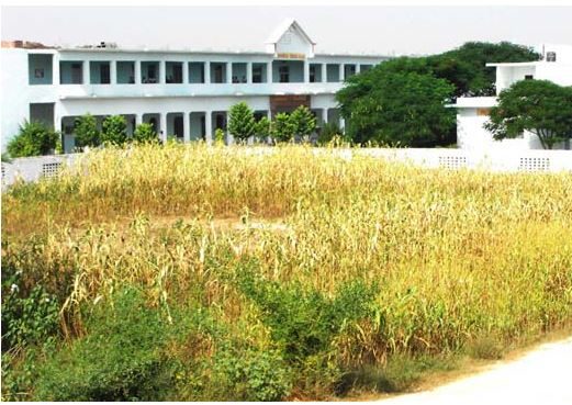 Shree Shakti Degree College
