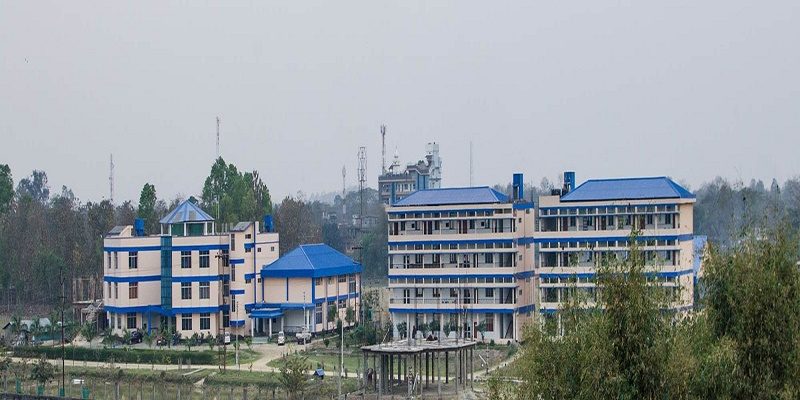 NETES Institute of Technology and Science  - [NITS] Mirza Logo