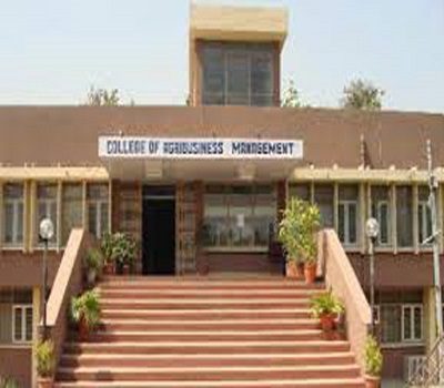College of Agribusiness Management - [CABM]