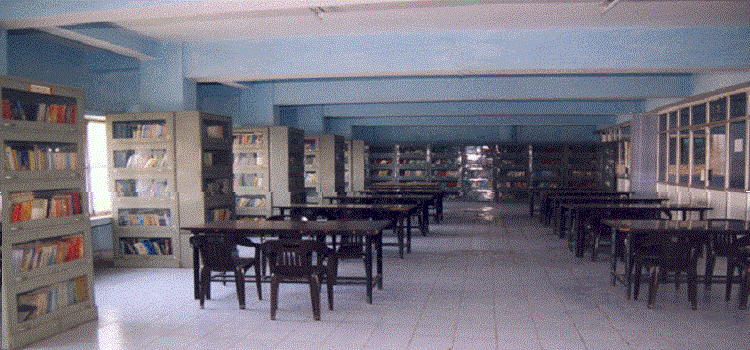 Shadan Institute of Management Studies
