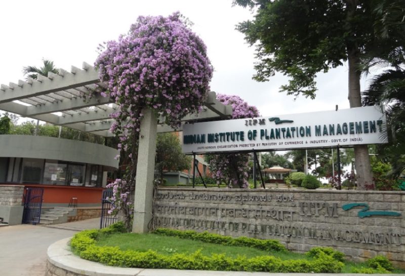 Indian Institute of Plantation Management - [IIPM] Logo