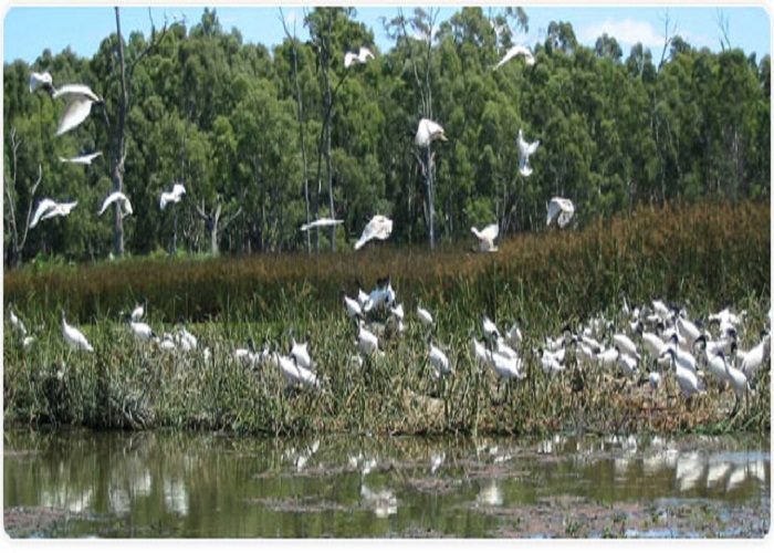 Institute of Environmental Studies and Wetland Management - [IESWM] Logo