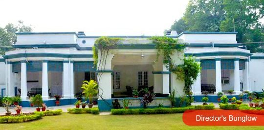 Department of Management Studies, Indian Institute of Technology (Indian School of Mines)