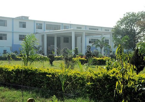 Narsinhbhai Patel Dental College and Hospital Logo