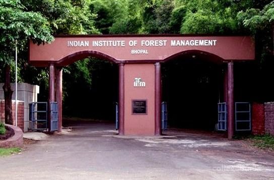 Indian Institute of Forest Management - [IIFM] Logo