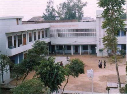 D.M. College