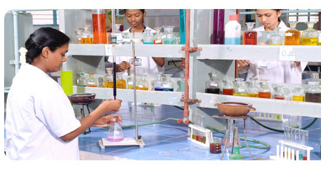 Nadar Saraswathi College of Arts and Science Logo