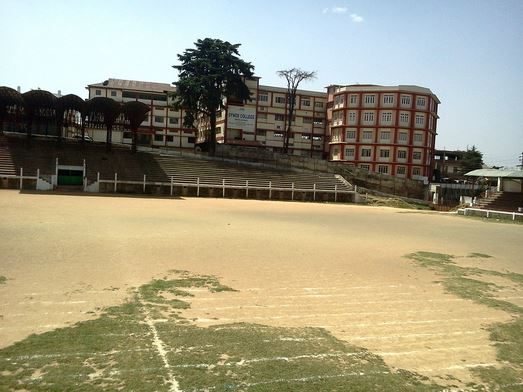 Synod College