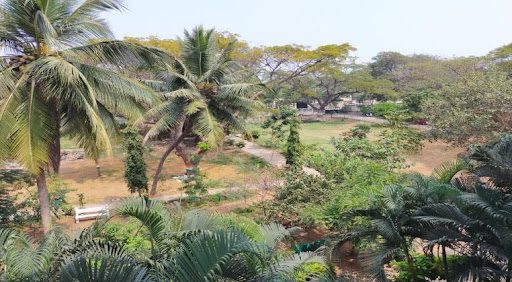 Visakha Government Degree College for Women Logo