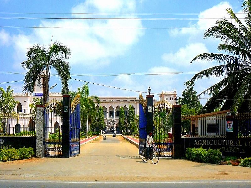 Acharya NG Ranga Agricultural University, Agricultural College Bapatla Logo