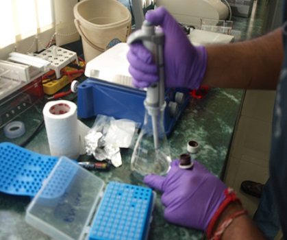 College of Veterinary Science