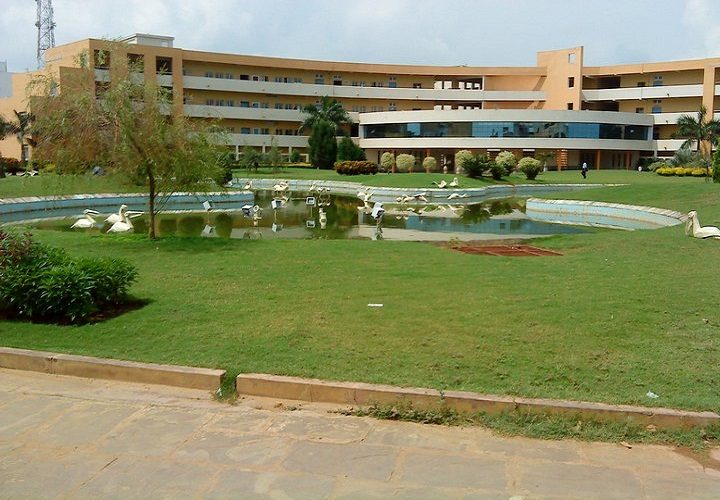 C. V. Raman Global University